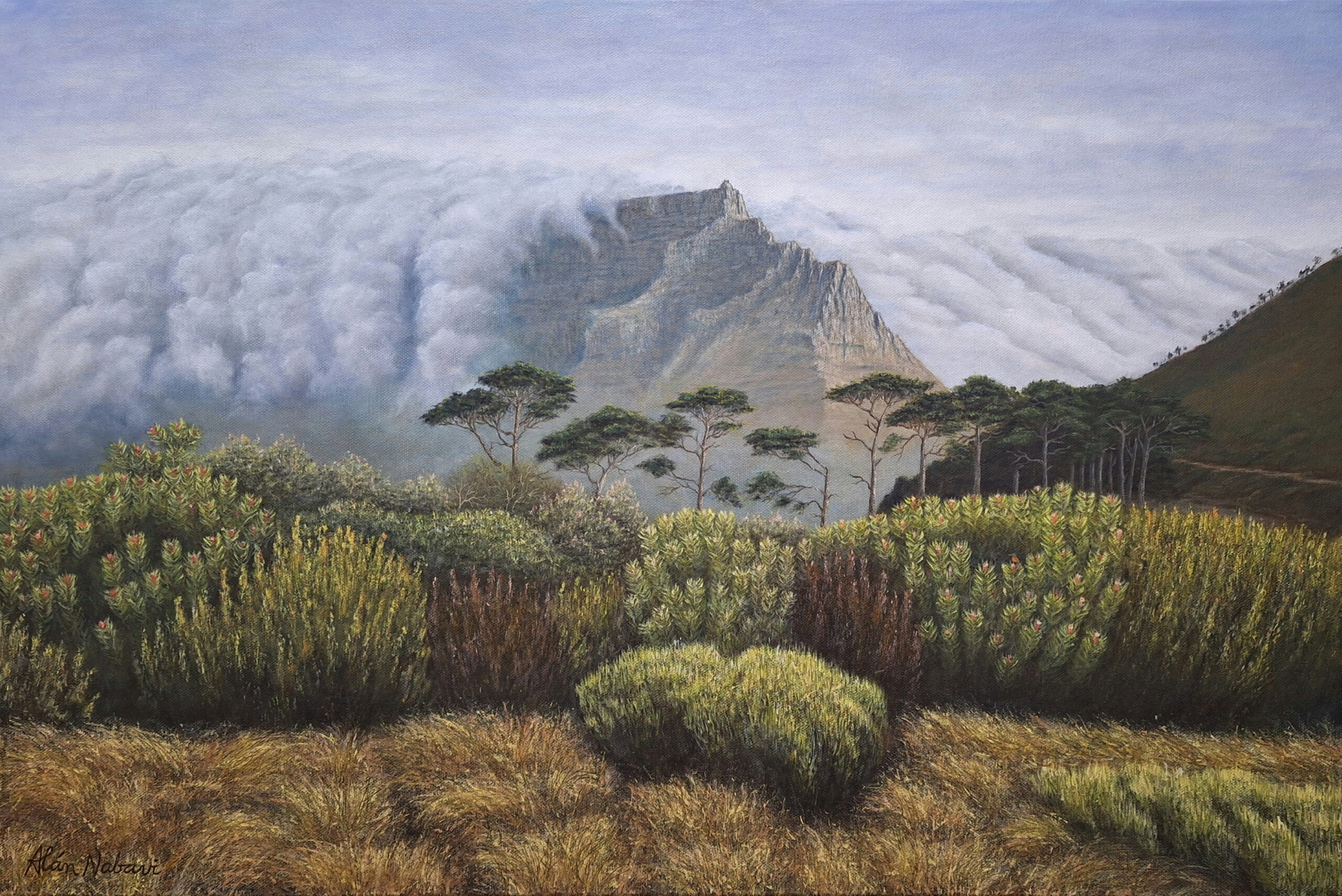 Oil painting by Alan Nabavi. Sunbird and Table Cloth on Table Mountain.
